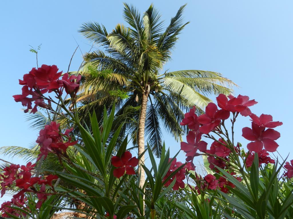 Villa Nissa Siem Reap Eksteriør billede