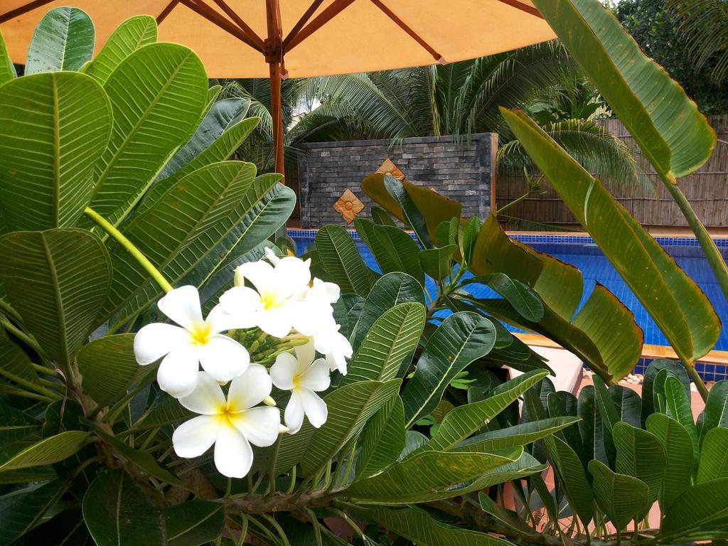 Villa Nissa Siem Reap Eksteriør billede