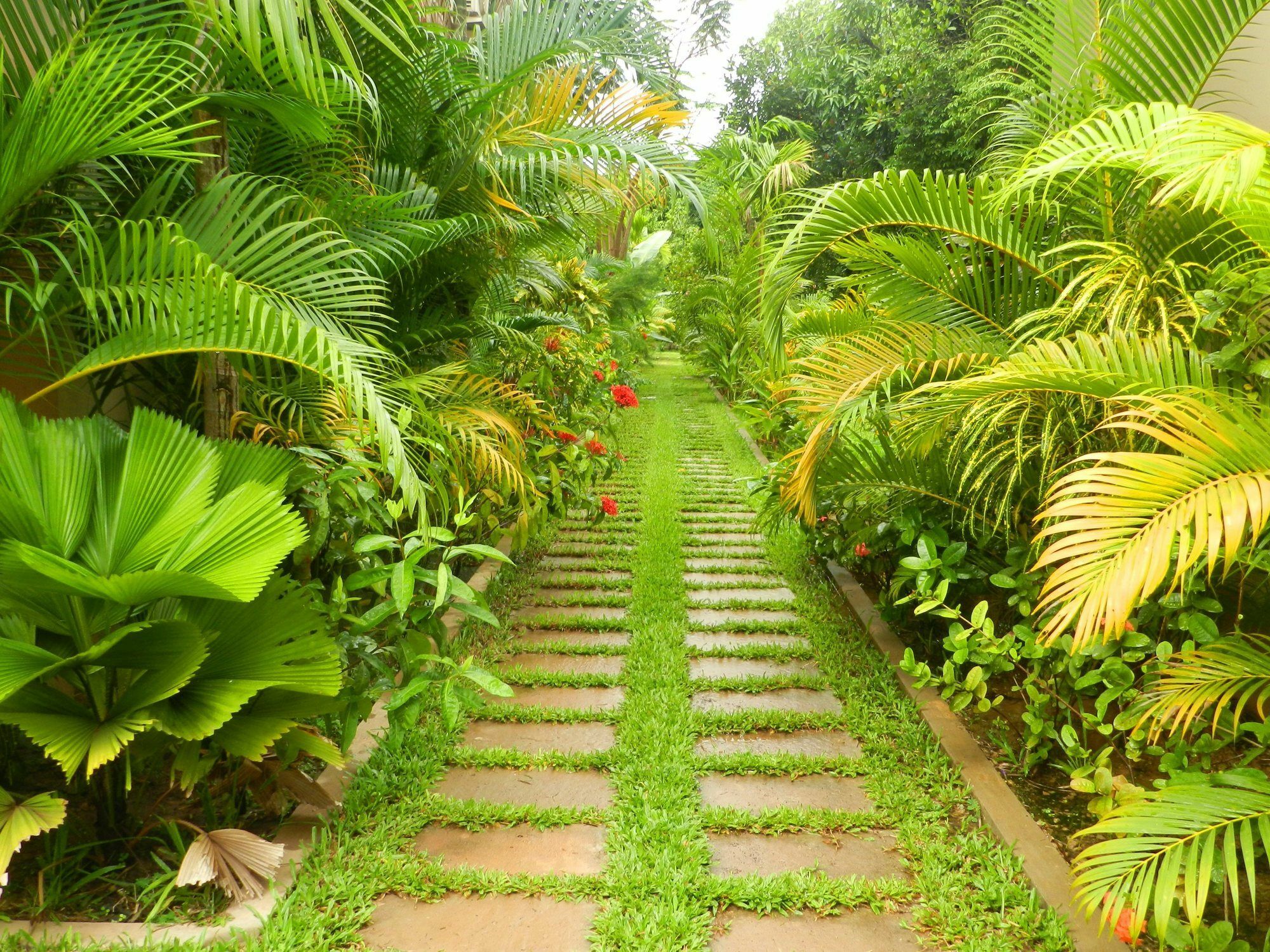 Villa Nissa Siem Reap Eksteriør billede