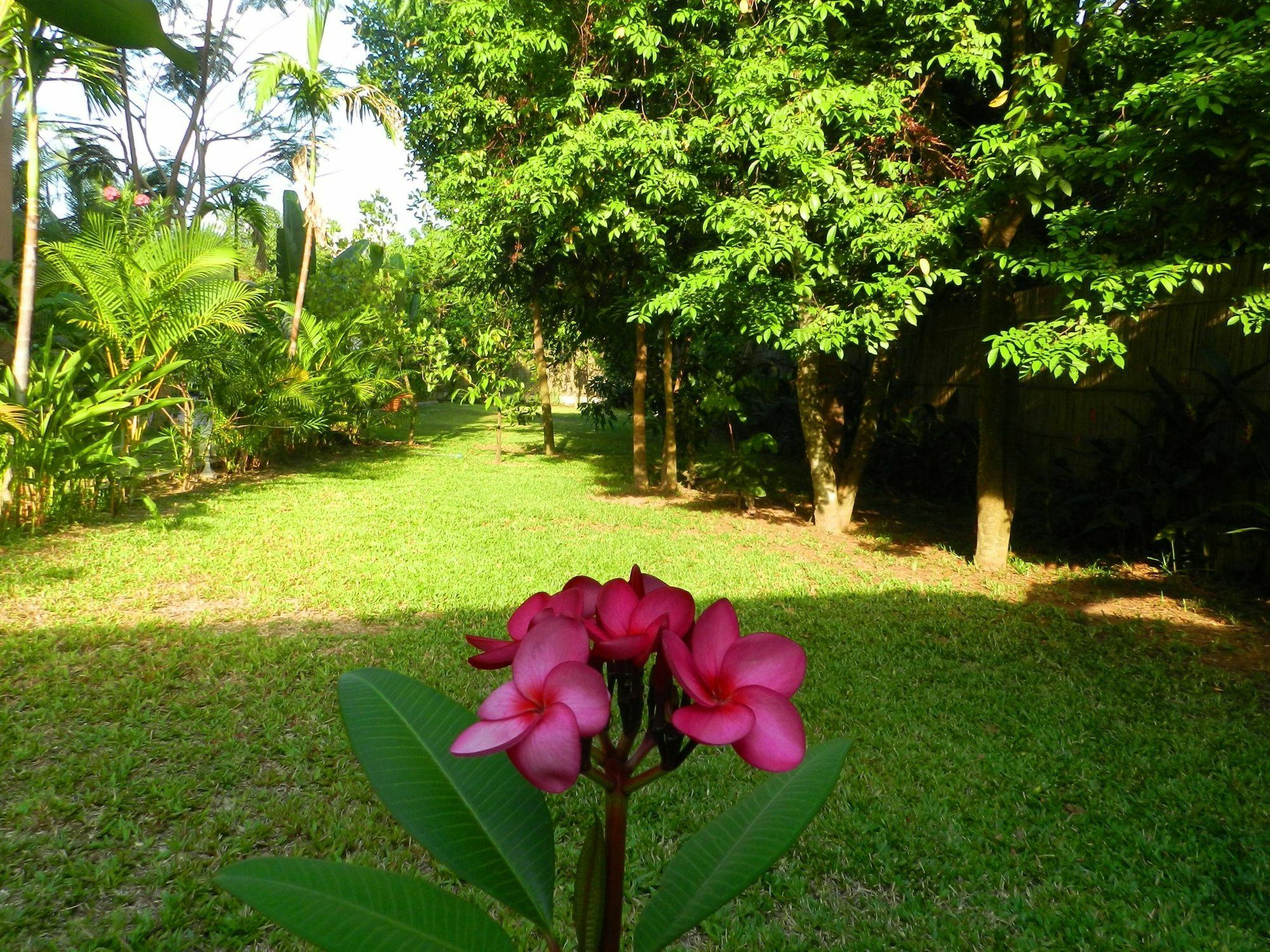 Villa Nissa Siem Reap Eksteriør billede